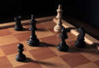 Schach1web.jpg