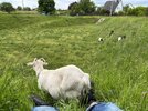 IMG_9997.jpeg