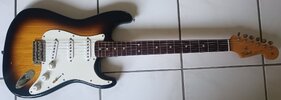 tokai7.jpg