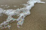 IMG_2337.jpeg