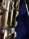 IMG_2326.jpeg