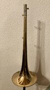 IMG_4144.jpeg
