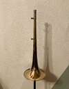 IMG_4141.jpeg