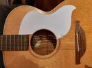 [REVIEW] Schlagschutz für George Lowden Guitars - S22-12