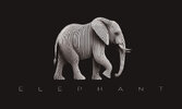 Elephant MB.jpg