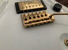 IMG_1746.jpeg