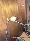 IMG_5132.jpeg
