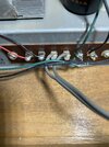 IMG_5137.jpeg