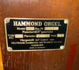 IMG_5152.jpeg