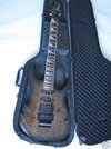 rg5xx snake a.jpg