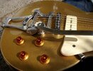 GoldTop 028.jpg