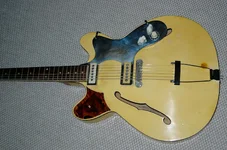 framus 2.webp