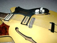 framus 3.webp