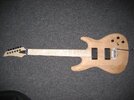 gitarren 001.jpg