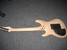 gitarren 004.jpg