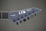 LWB_1991.jpg LWB_1991.jpg