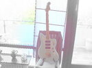 03-nov-SUNP0056.JPG