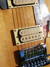 20250809_175521.jpg 20250809_175521.jpg