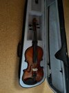 Höfner AS 190 V 4/4 Violine   Geige