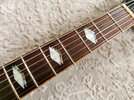 FGN-11.jpg