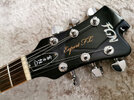 FGN-12.jpg