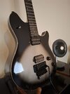 EvH Wolfgang Special EB Tausch gg. Charvel ProMod / Ibanez Genesis