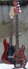 Doubleneck Bass/Gitarre