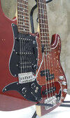 double-neck_HB_Sq_Mar_02.jpg