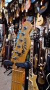 Fenix Tele_1.jpg