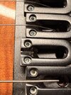 IMG_0556.jpeg