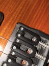 IMG_0558.jpeg