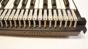 DSC04518.JPG