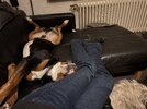 IMG_6109.jpeg