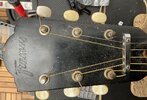 IMG_0727.jpeg