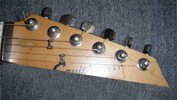 headstock_esp.jpg