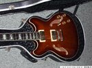 ibanez2.jpg