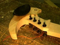 DSCN3981.webp
