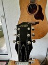 IMG_5074.jpeg