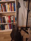 Solar Guitars ATG MKII Evertune