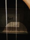 IMG_9382.jpeg