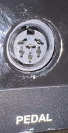 buchse-pedal.png