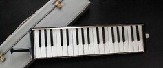 Hohner Melodic Piano 36.jpg