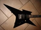 BCRich_Ironbird_Platinum_09.JPG