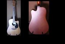 Charvel Jackson Ansicht mit Paint.webp