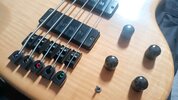 Human Base Max 5 Saiter mit Bartolini Pickups
