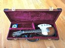 Jim Reed 12 string Mando electric guitar 2003.jpg