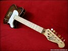 cheri_telecaster_custom (1).JPG