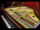 Erard_fluegel_49087392_280_05.jpg