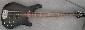 Sandberg Basic Ken Taylor 5-String