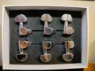 3/3 Mechaniken Kluson Style aus 1996er Epiphone Les Paul Standard
